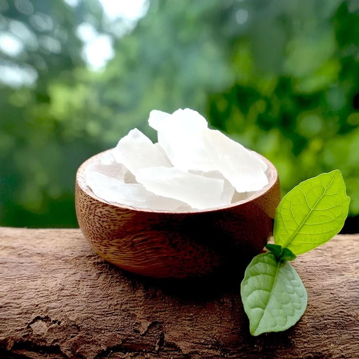 Camphor